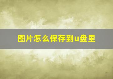 图片怎么保存到u盘里