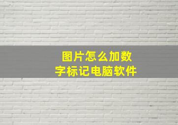 图片怎么加数字标记电脑软件