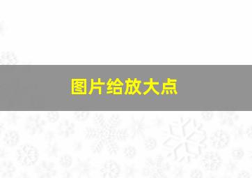 图片给放大点