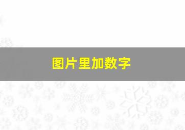 图片里加数字