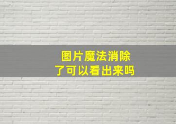 图片魔法消除了可以看出来吗