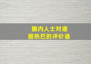 圈内人士对迪丽热巴的评价语