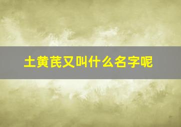 土黄芪又叫什么名字呢