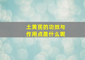 土黄芪的功效与作用点是什么呢