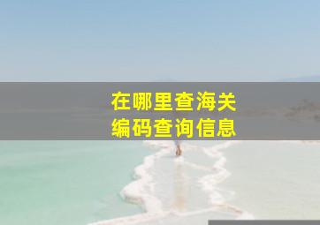 在哪里查海关编码查询信息