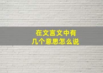 在文言文中有几个意思怎么说