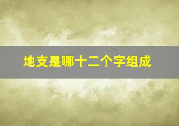 地支是哪十二个字组成