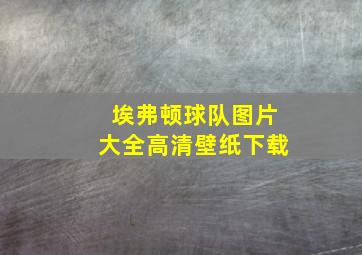 埃弗顿球队图片大全高清壁纸下载