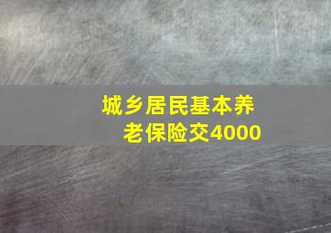 城乡居民基本养老保险交4000