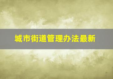 城市街道管理办法最新