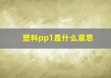 塑料pp1是什么意思