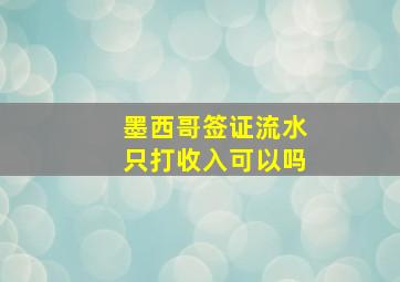 墨西哥签证流水只打收入可以吗