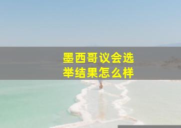 墨西哥议会选举结果怎么样