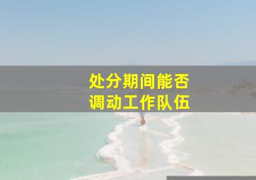 处分期间能否调动工作队伍