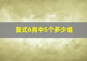 复式6肖中5个多少组