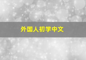 外国人初学中文