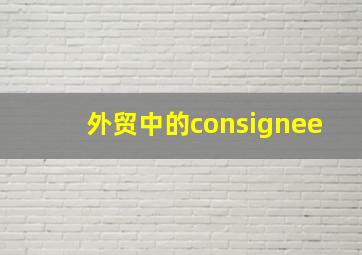 外贸中的consignee