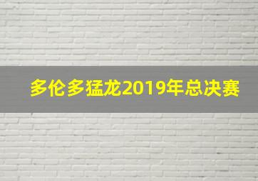 多伦多猛龙2019年总决赛