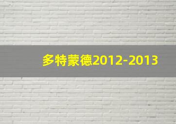 多特蒙德2012-2013