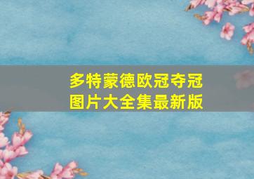 多特蒙德欧冠夺冠图片大全集最新版