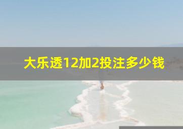 大乐透12加2投注多少钱