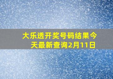 大乐透开奖号码结果今天最新查询2月11日