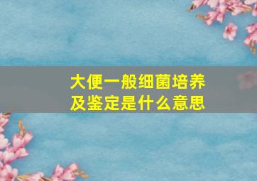 大便一般细菌培养及鉴定是什么意思