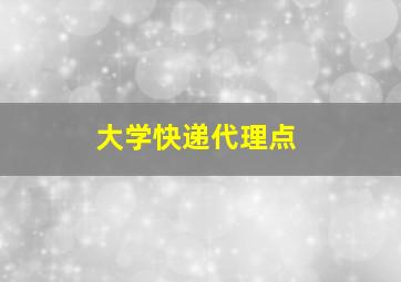 大学快递代理点