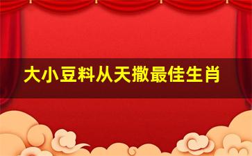 大小豆料从天撒最佳生肖