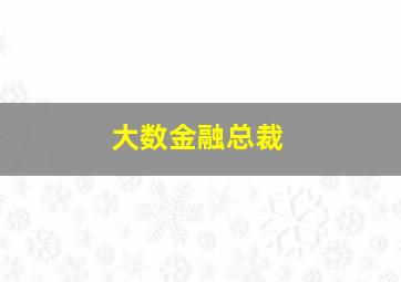 大数金融总裁