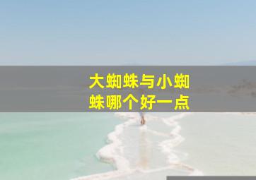 大蜘蛛与小蜘蛛哪个好一点