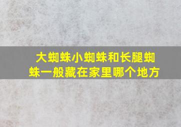 大蜘蛛小蜘蛛和长腿蜘蛛一般藏在家里哪个地方