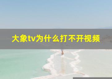 大象tv为什么打不开视频