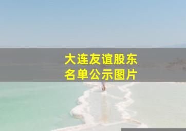 大连友谊股东名单公示图片