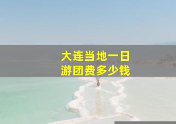 大连当地一日游团费多少钱