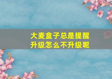 大麦盒子总是提醒升级怎么不升级呢