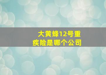 大黄蜂12号重疾险是哪个公司