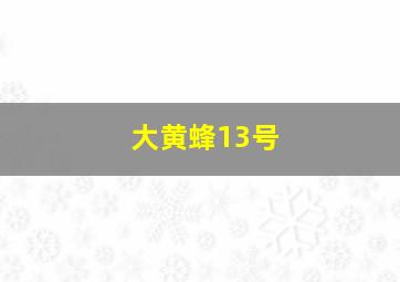 大黄蜂13号