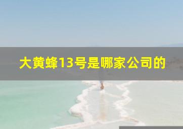 大黄蜂13号是哪家公司的