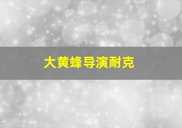 大黄蜂导演耐克