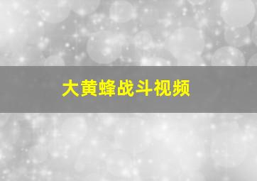 大黄蜂战斗视频