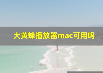 大黄蜂播放器mac可用吗