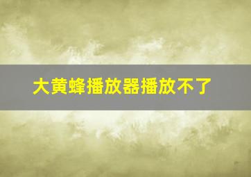 大黄蜂播放器播放不了