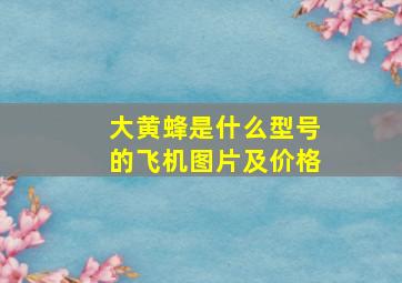 大黄蜂是什么型号的飞机图片及价格