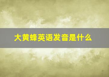 大黄蜂英语发音是什么