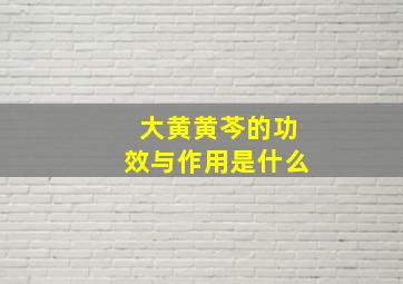 大黄黄芩的功效与作用是什么