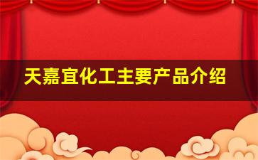 天嘉宜化工主要产品介绍