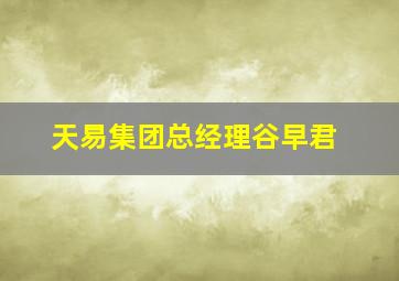 天易集团总经理谷早君