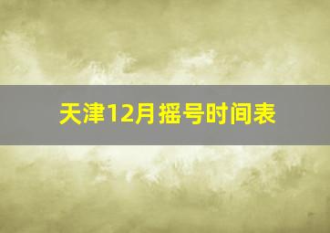 天津12月摇号时间表