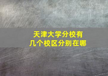 天津大学分校有几个校区分别在哪